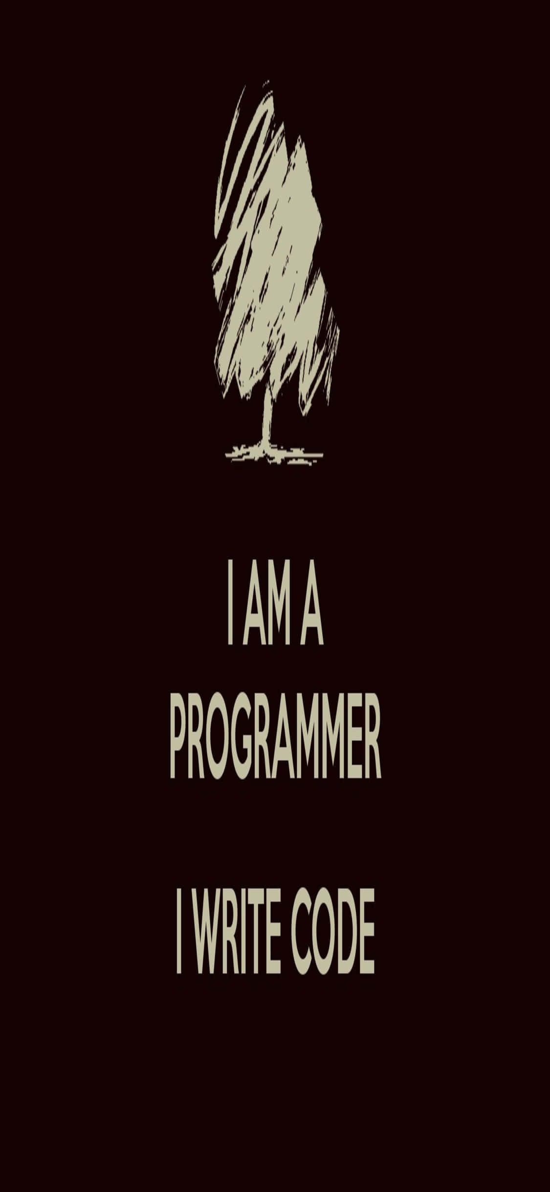 iPhone Xs Programmeringsbaggrund Programmer Citat Wallpapers