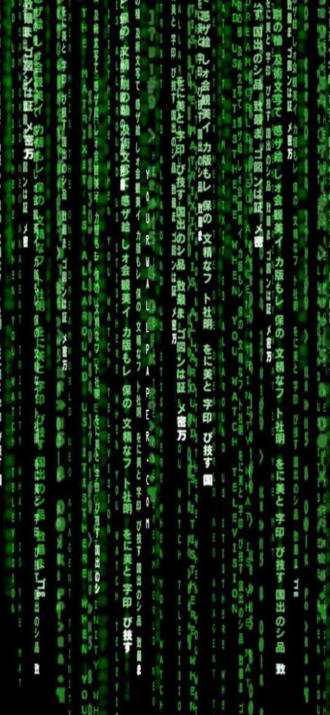 iPhone Xs Programmeringsbaggrund Lodret Matrix Wallpapers