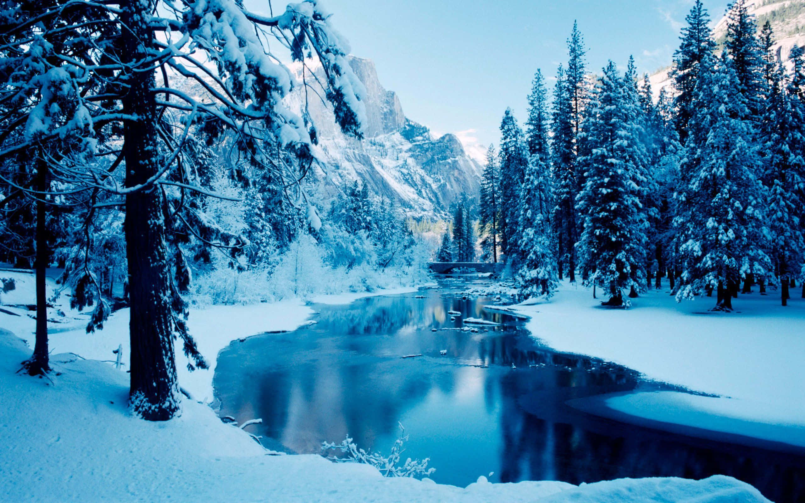 Islagt vinterlandskabs baggrund med flod Wallpapers
