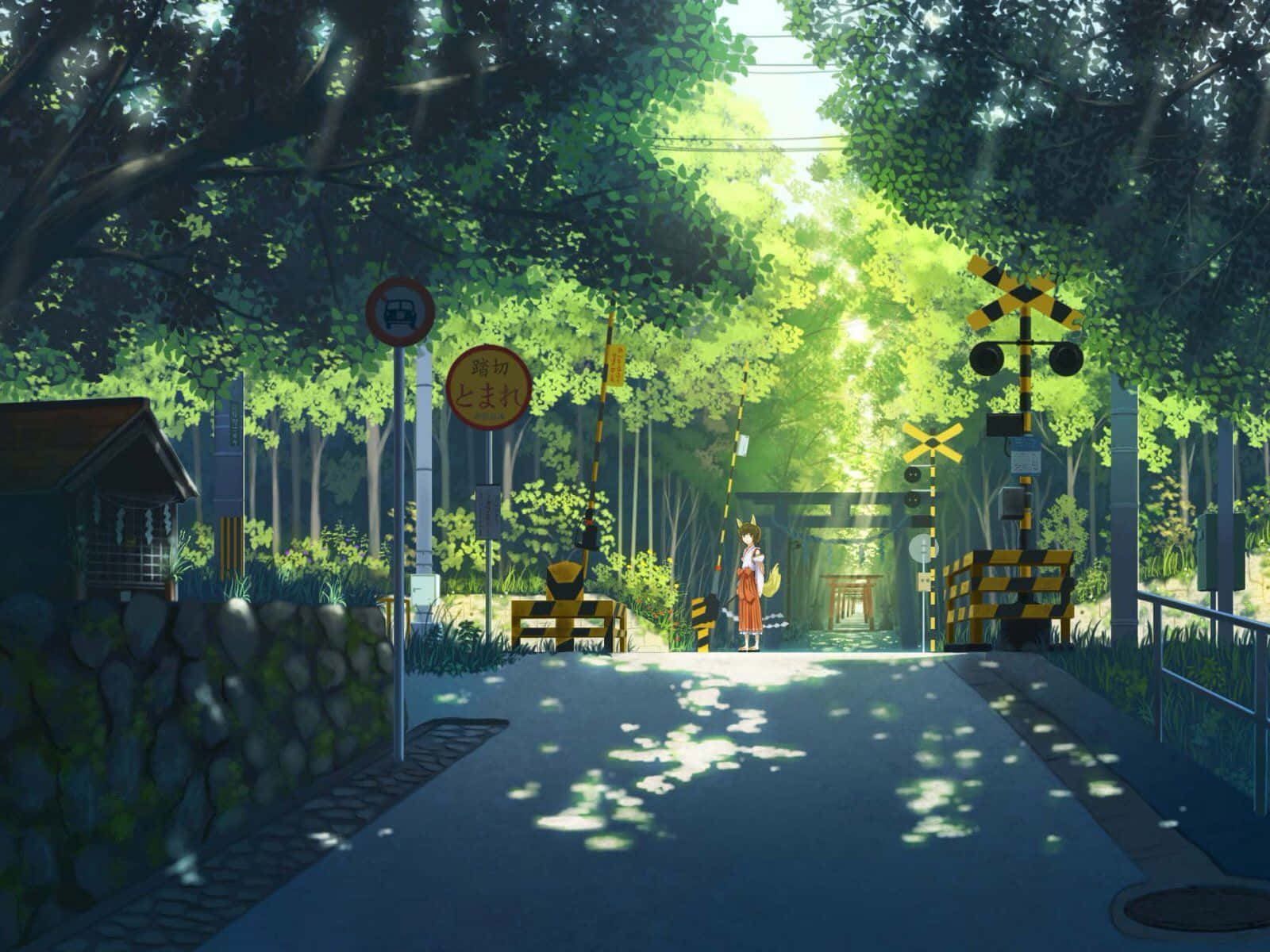 Japansk grøn anime-gade Wallpapers