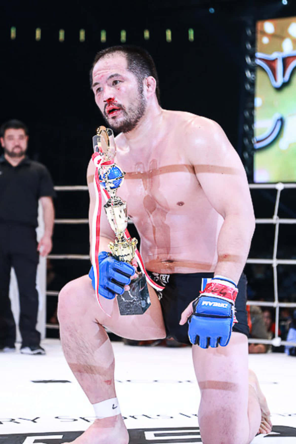 Japansk MMA-kæmper Hayato Sakurai Blodigt Ansigt Wallpapers