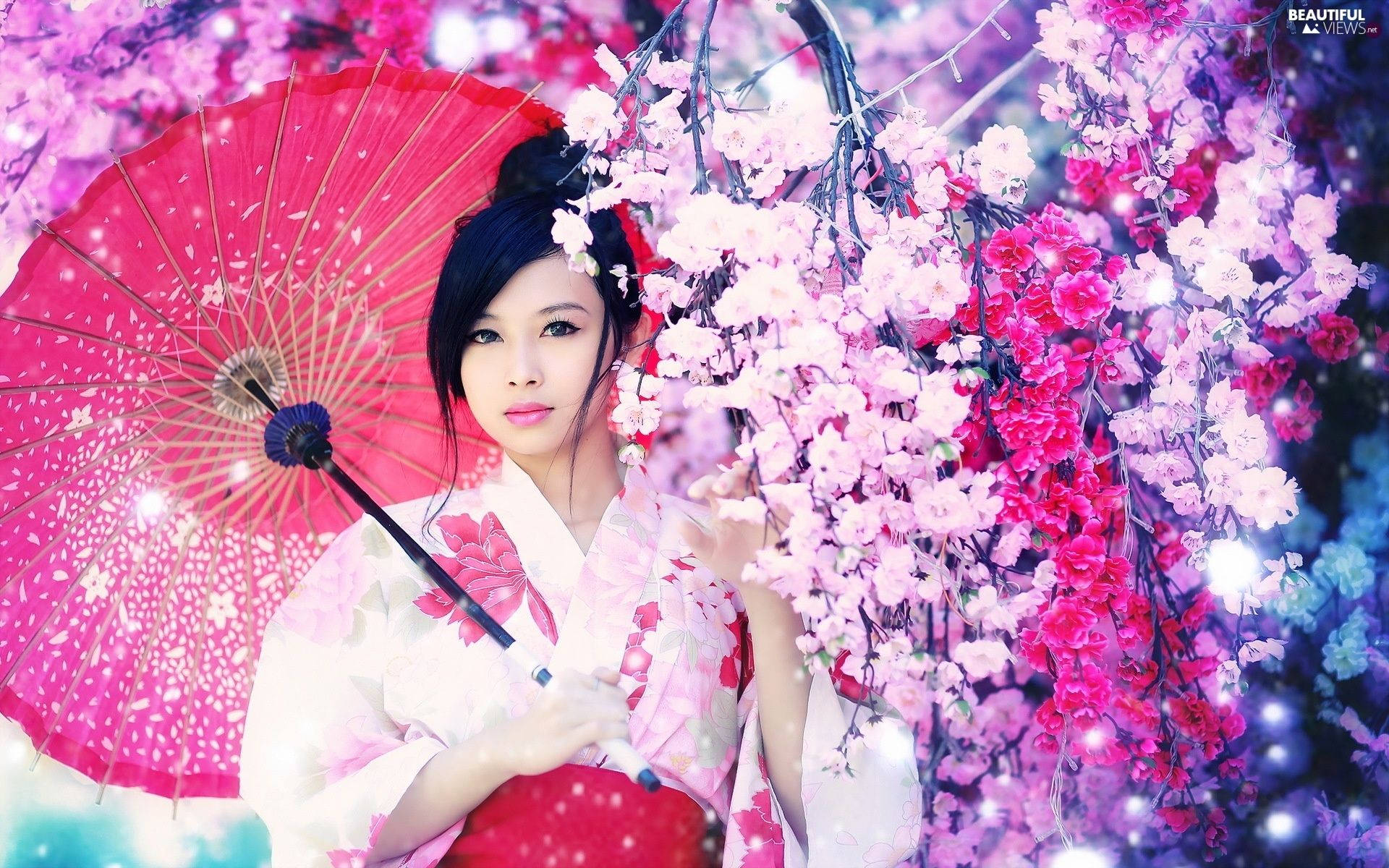 Japansk pige pink blomsteræstetik Wallpapers