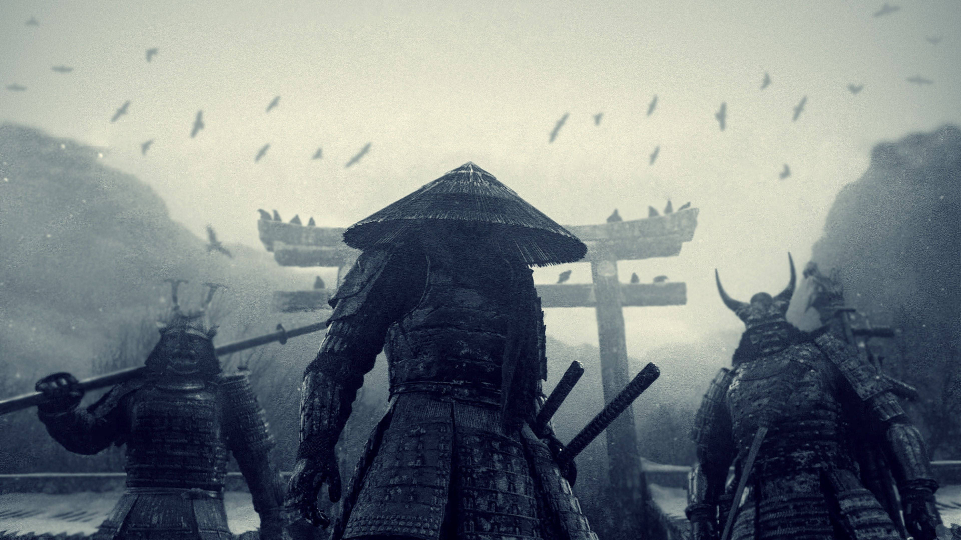 Japanske samuraikrigere Wallpapers