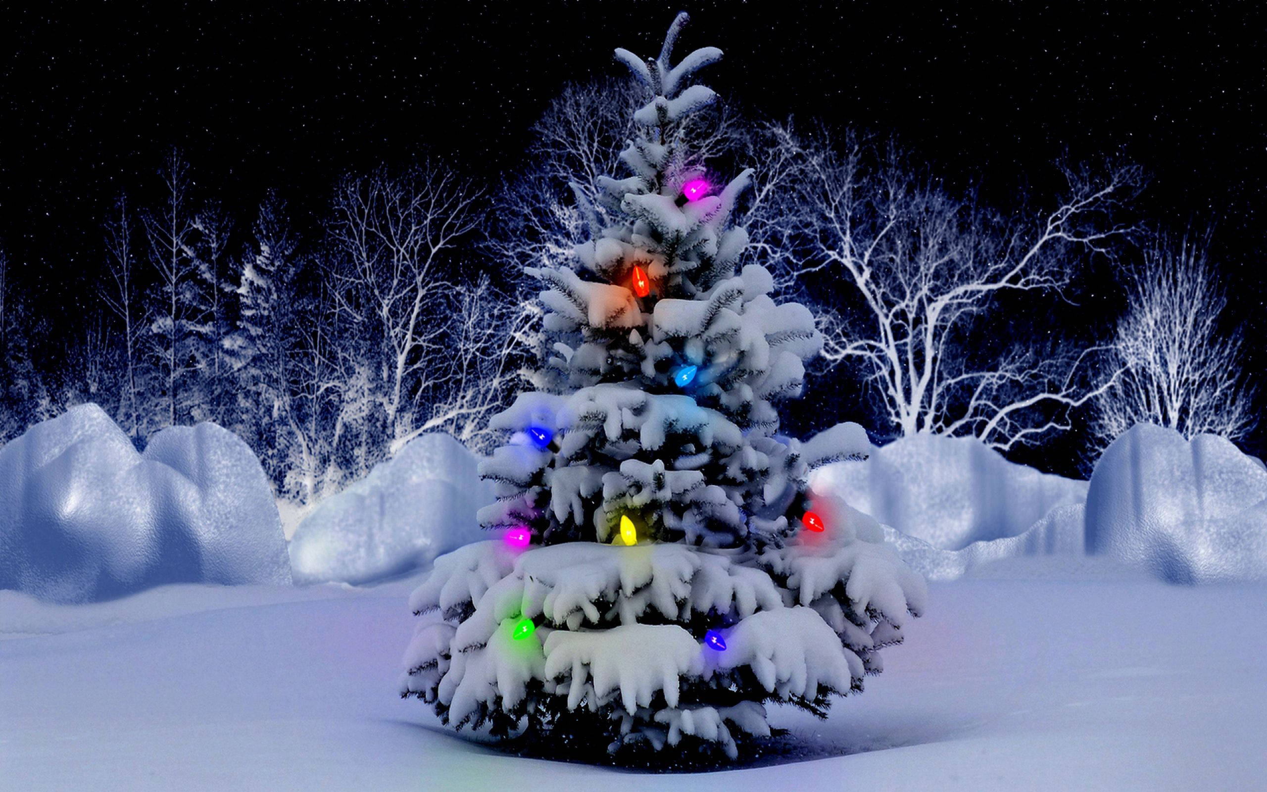 Julebord Sneklædt Træ Wallpapers