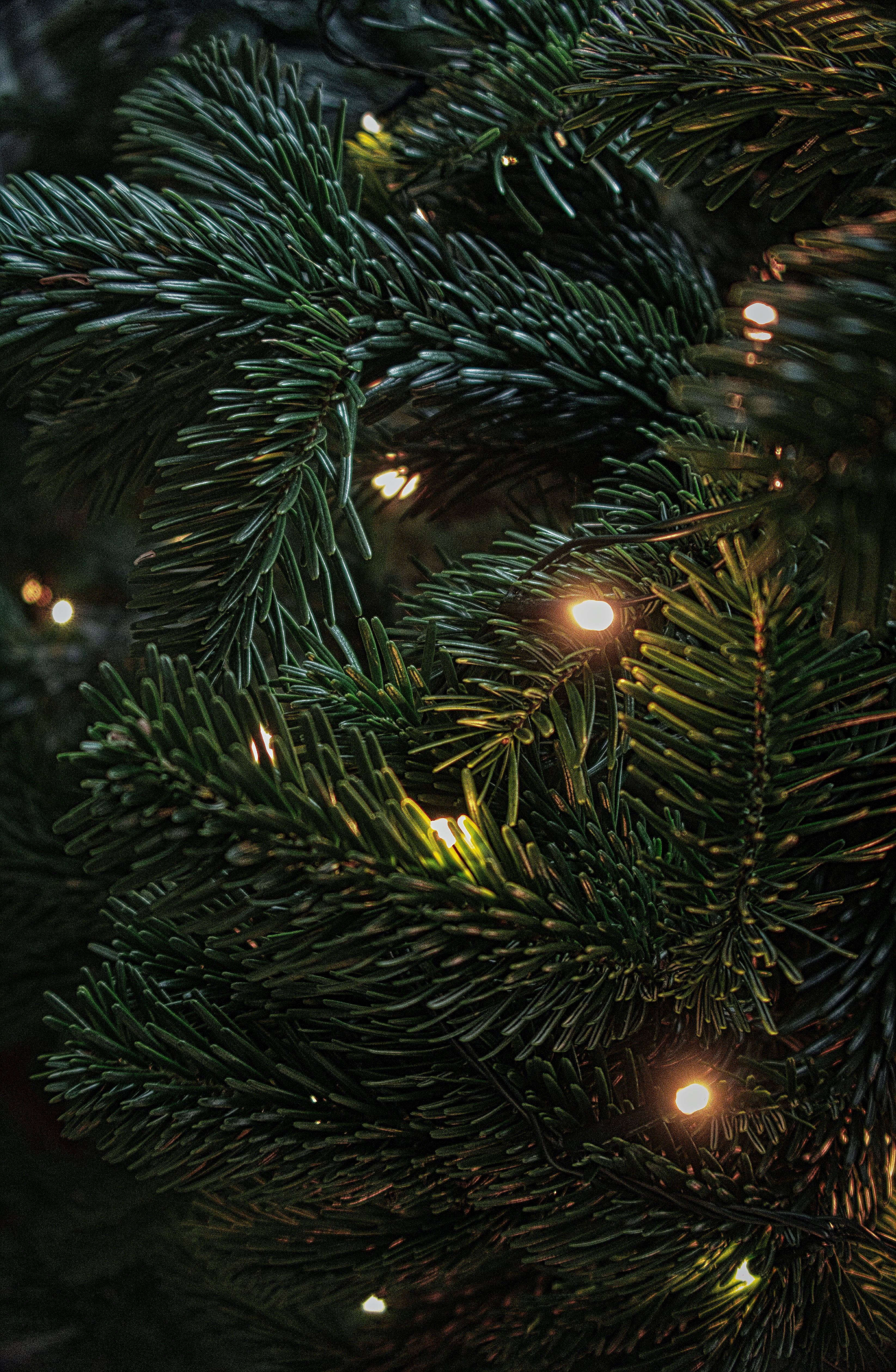 Julelys i høj opløsning Wallpapers