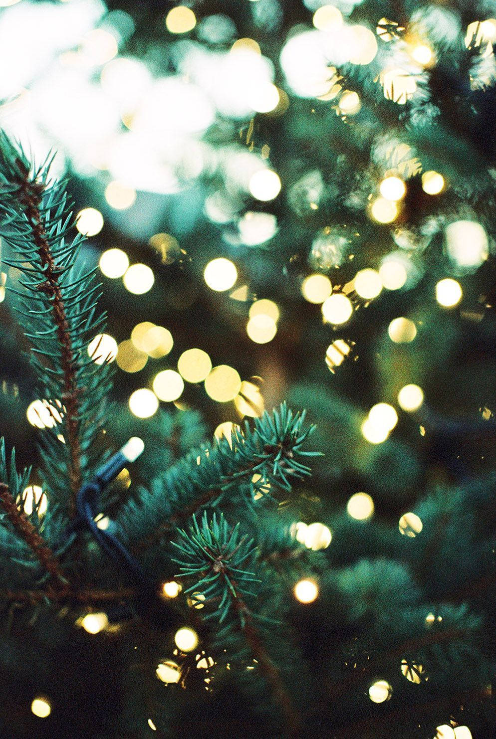 Julelys iPhone sløret ægte Wallpapers