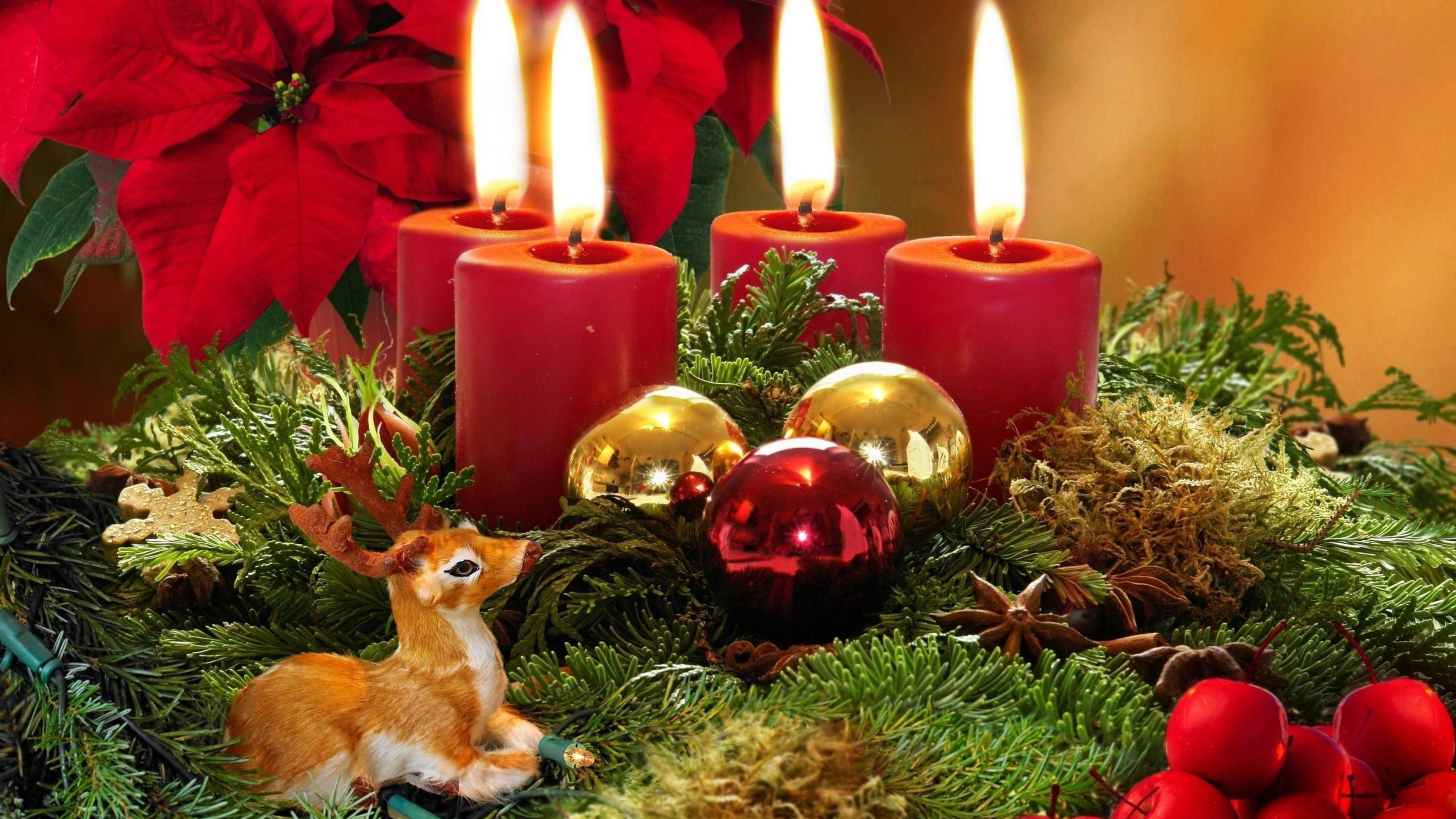 Julepynt med julestjerner Wallpapers