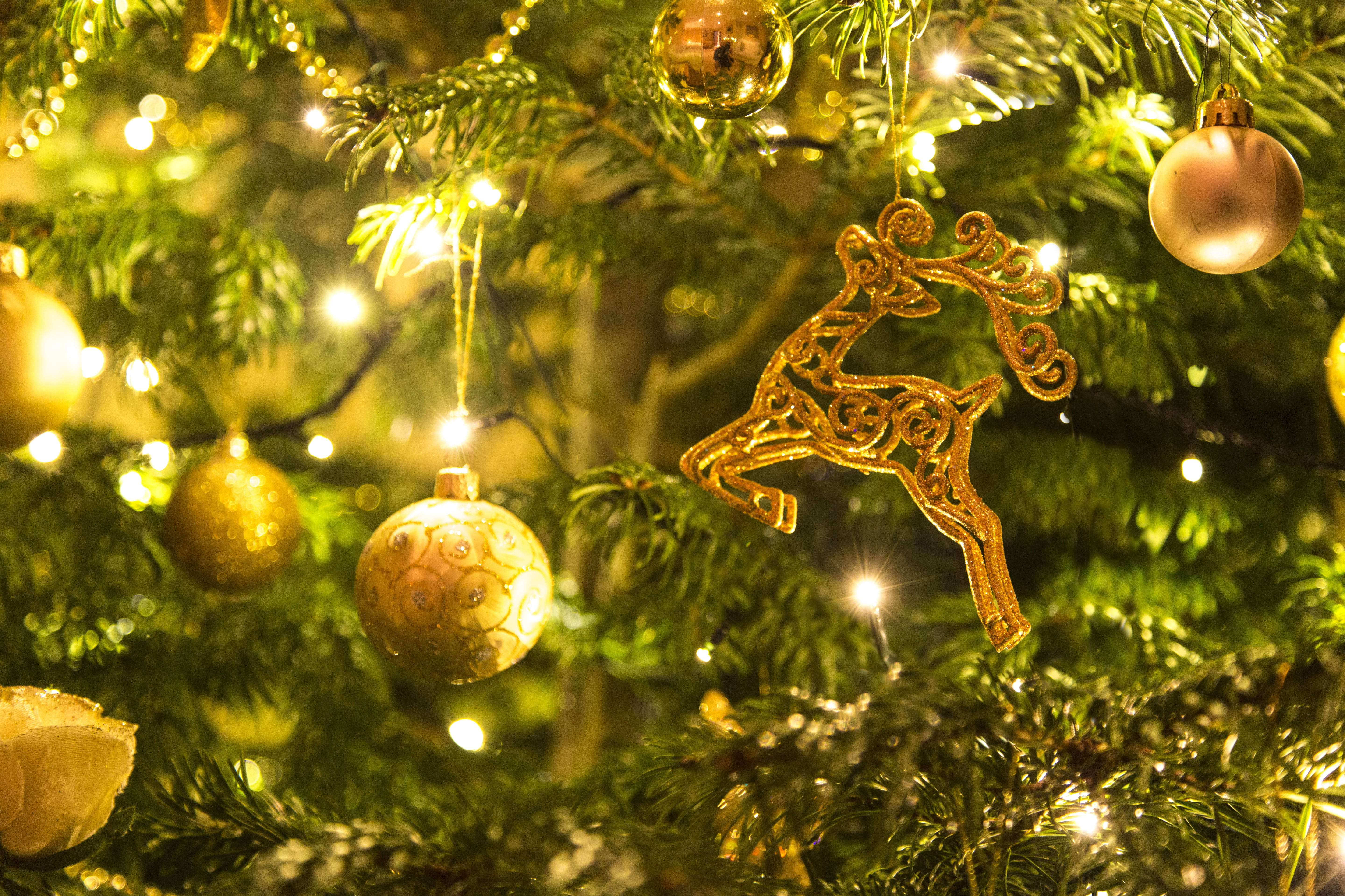 Juletræ med gyldne ornamenter Wallpapers