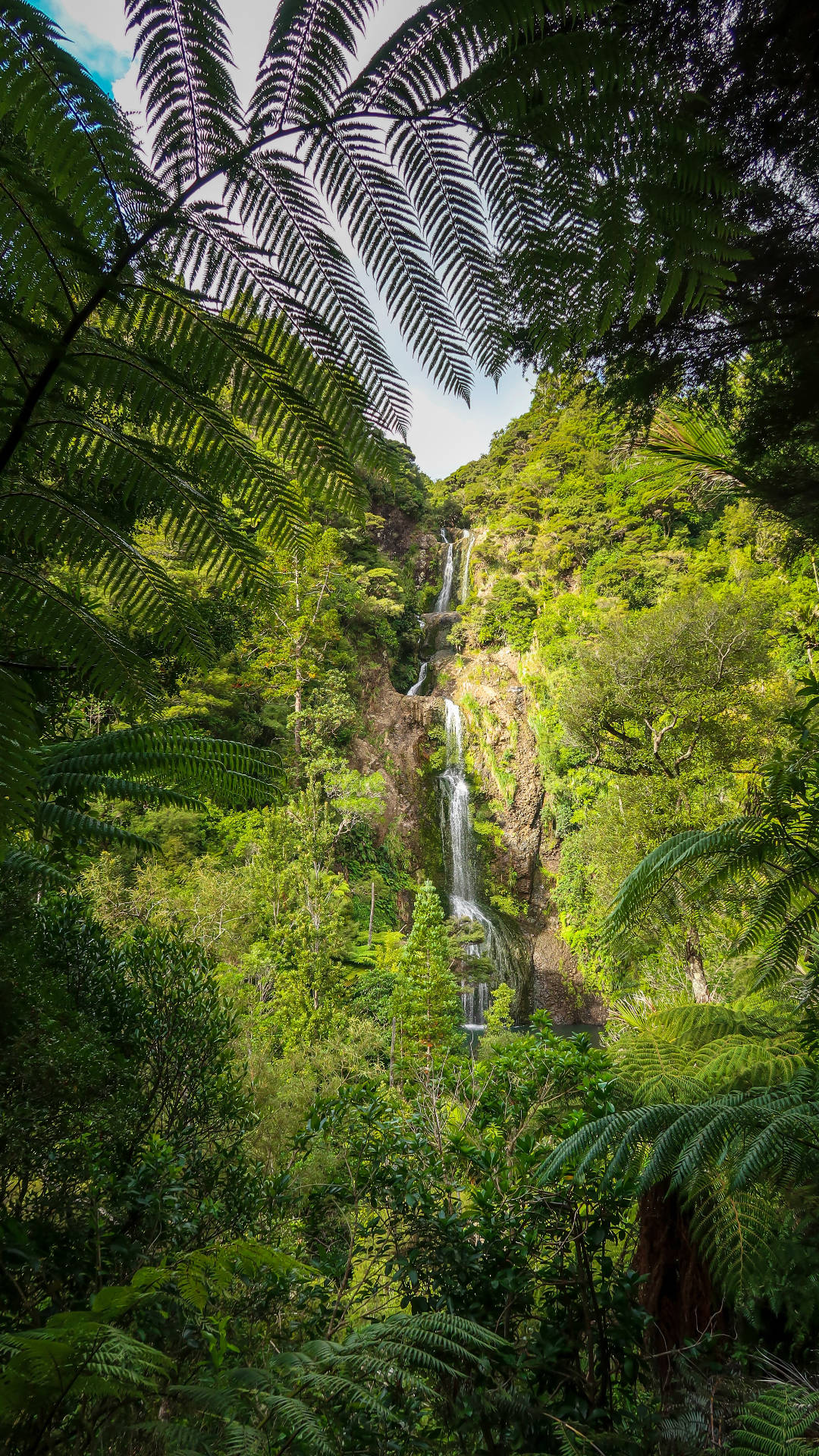 Jungle vandfald iPhone Wallpapers