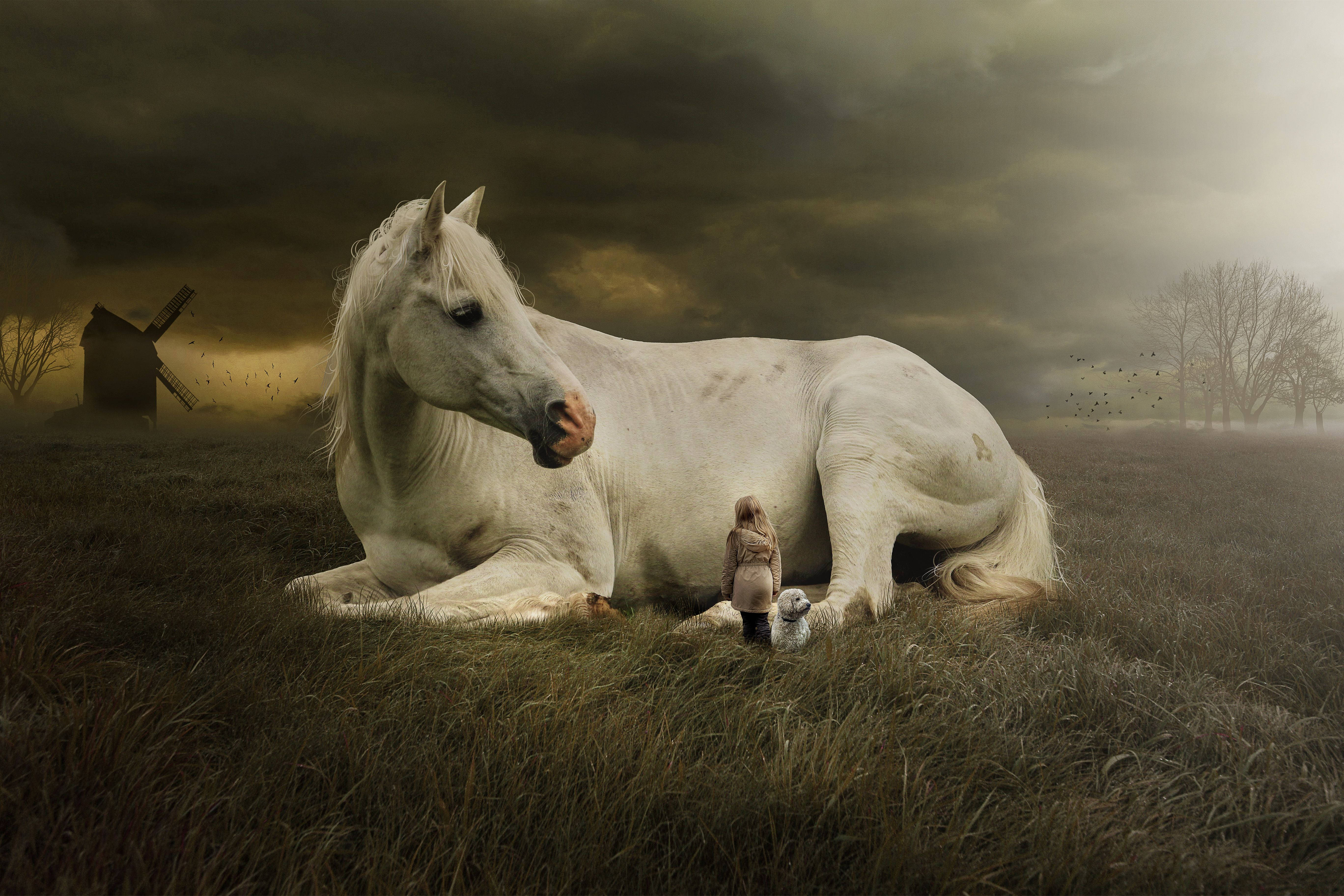 Kæmpe sød hest med pige og hvalp Wallpapers