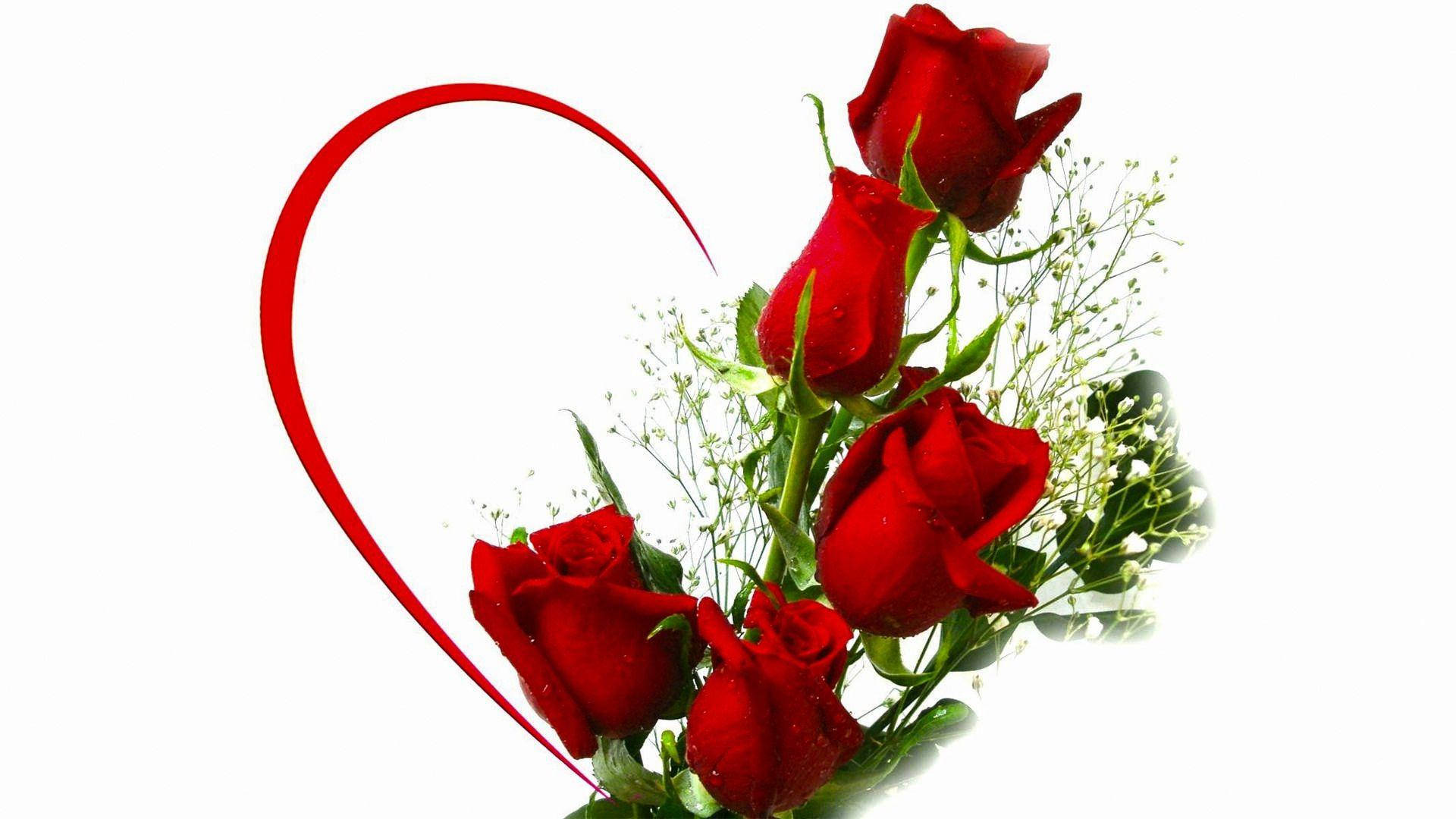 Kærlighedsrose Halvt Hjerte Wallpapers