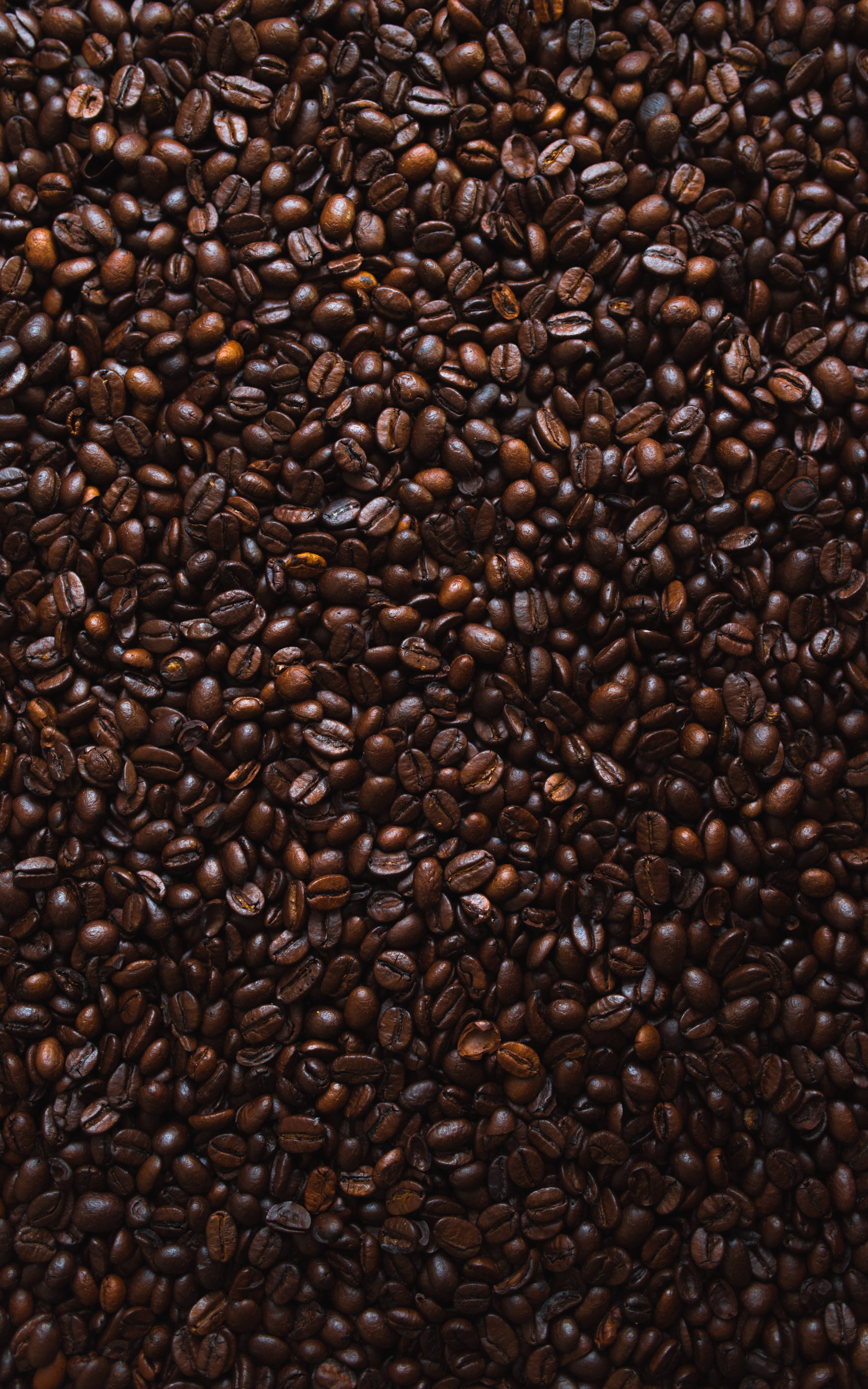 Kaffeæstetisk mønster Wallpapers