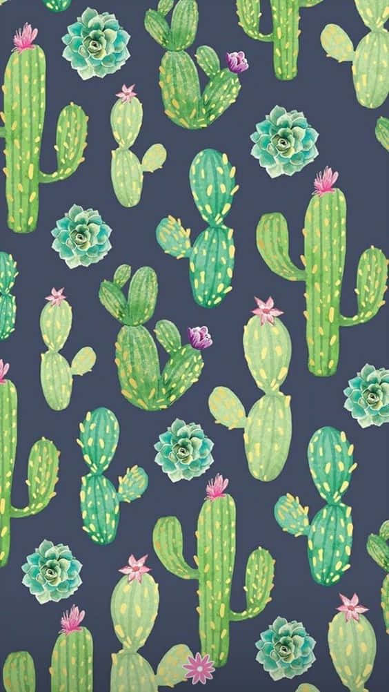 Kaktus iPhone Tegning Wallpapers