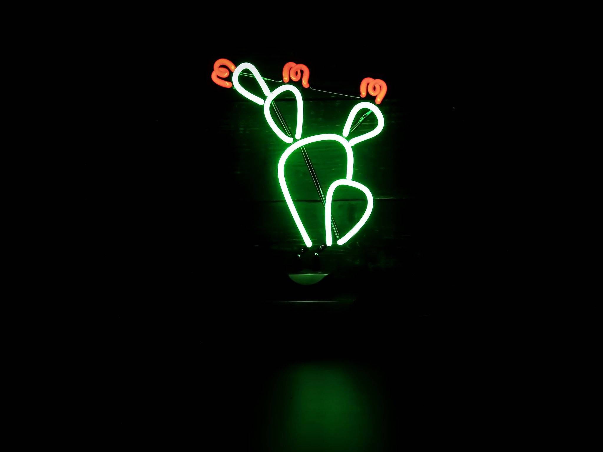 Kaktusblomster Neon Grøn Æstetik Wallpapers