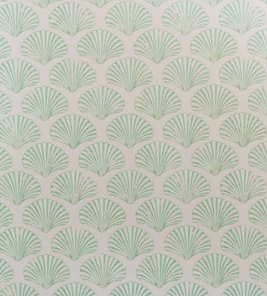 Kammuslingsskaller collage grøn æstetik Wallpapers