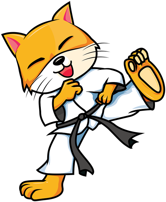 Katte i karateuniform griner.PNG Wallpapers