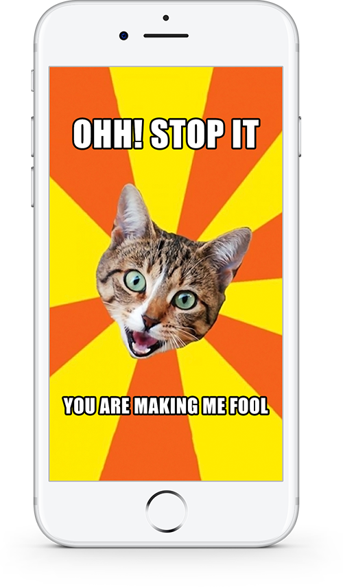 Katte meme Åh stop det du gør mig til nar Wallpapers