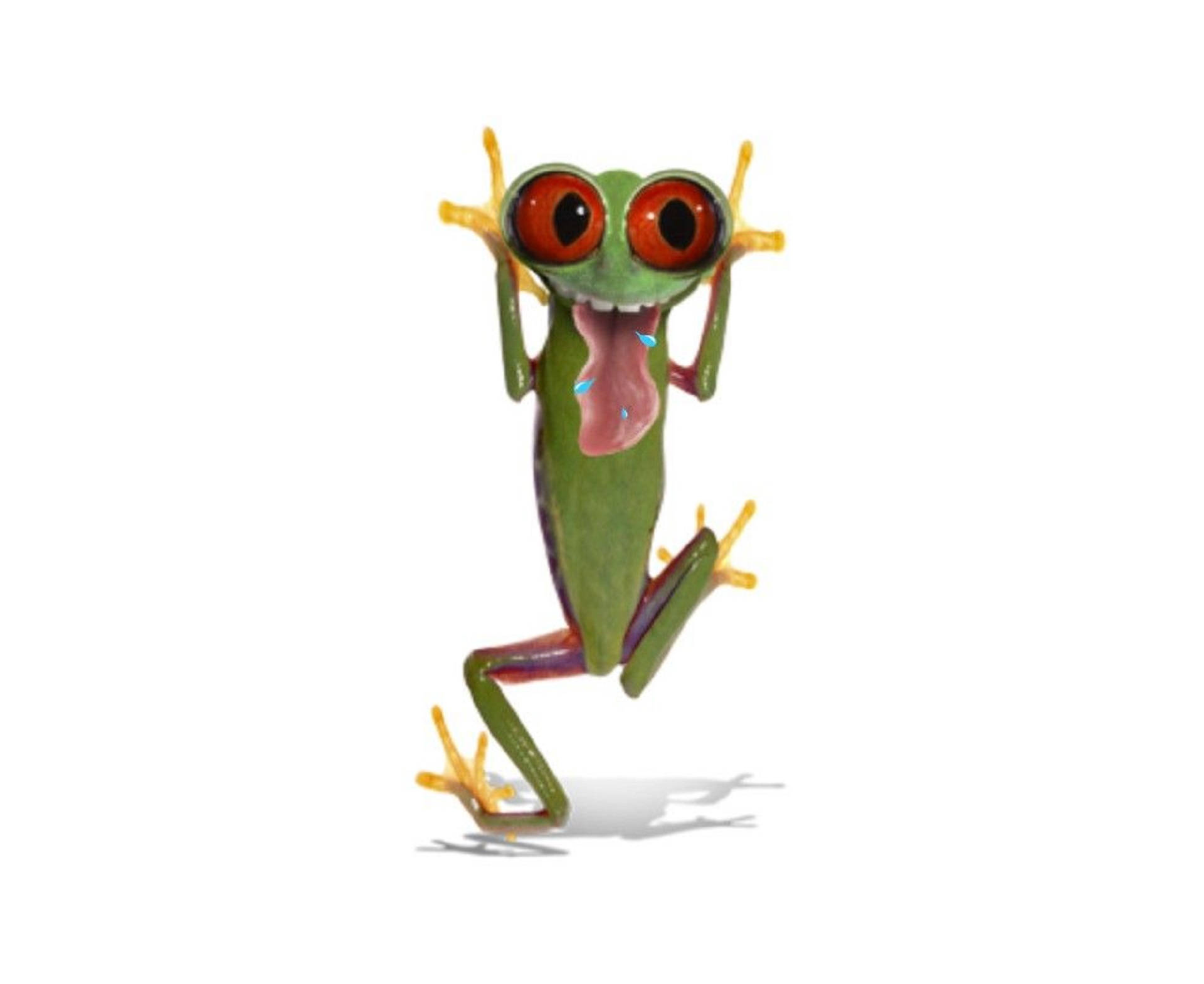 Kawaii frø med irriterende ansigt Wallpapers
