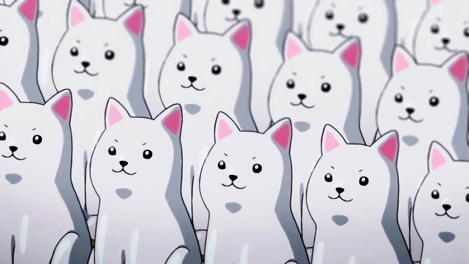 Kawaii HD hvide hunde Wallpapers