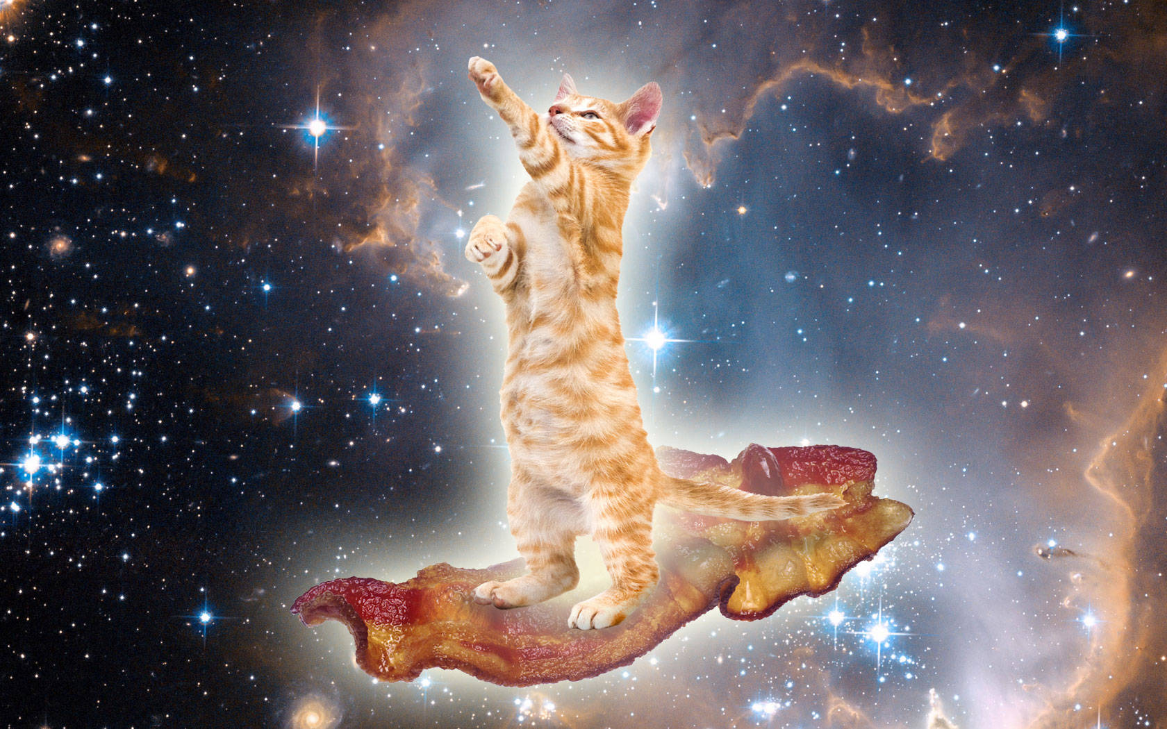 Kawaii kat på galakse Wallpapers
