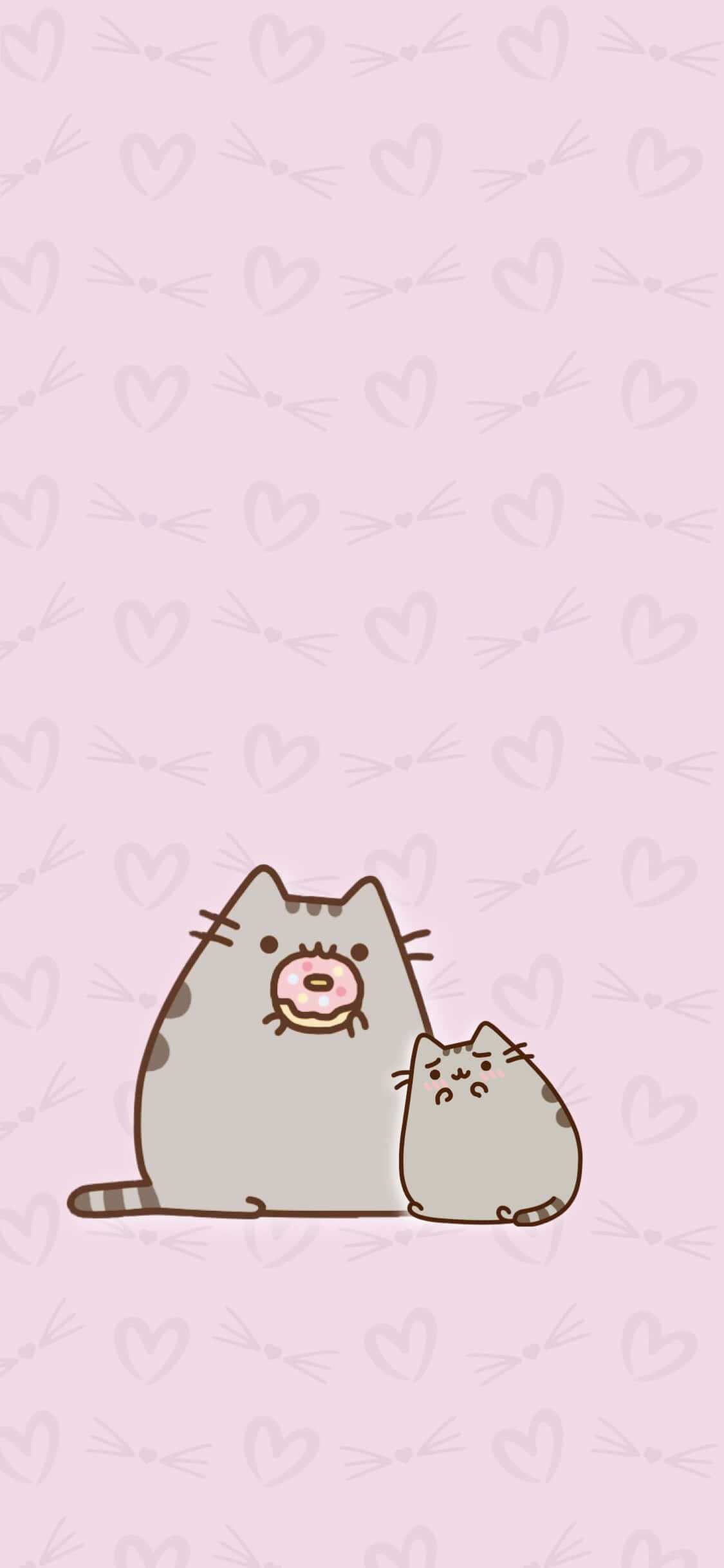 Kawaii sød kat spiser donut billede Wallpapers