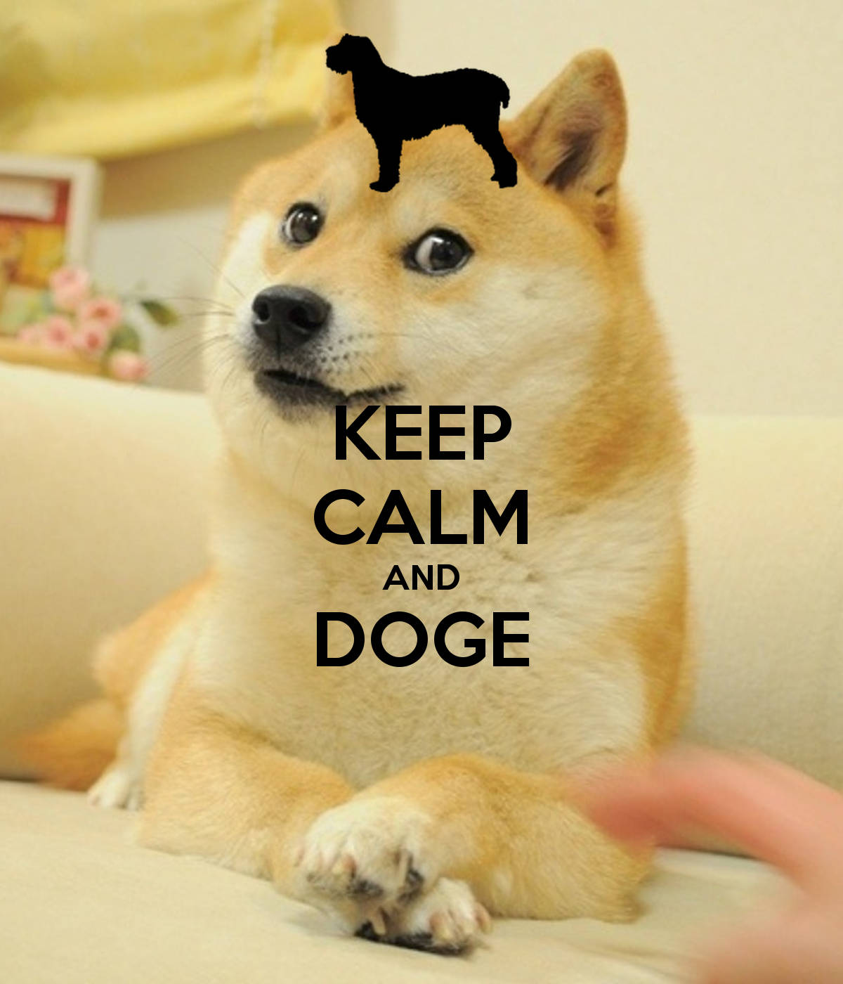 Keep Calm and Doge On! Wallpapers