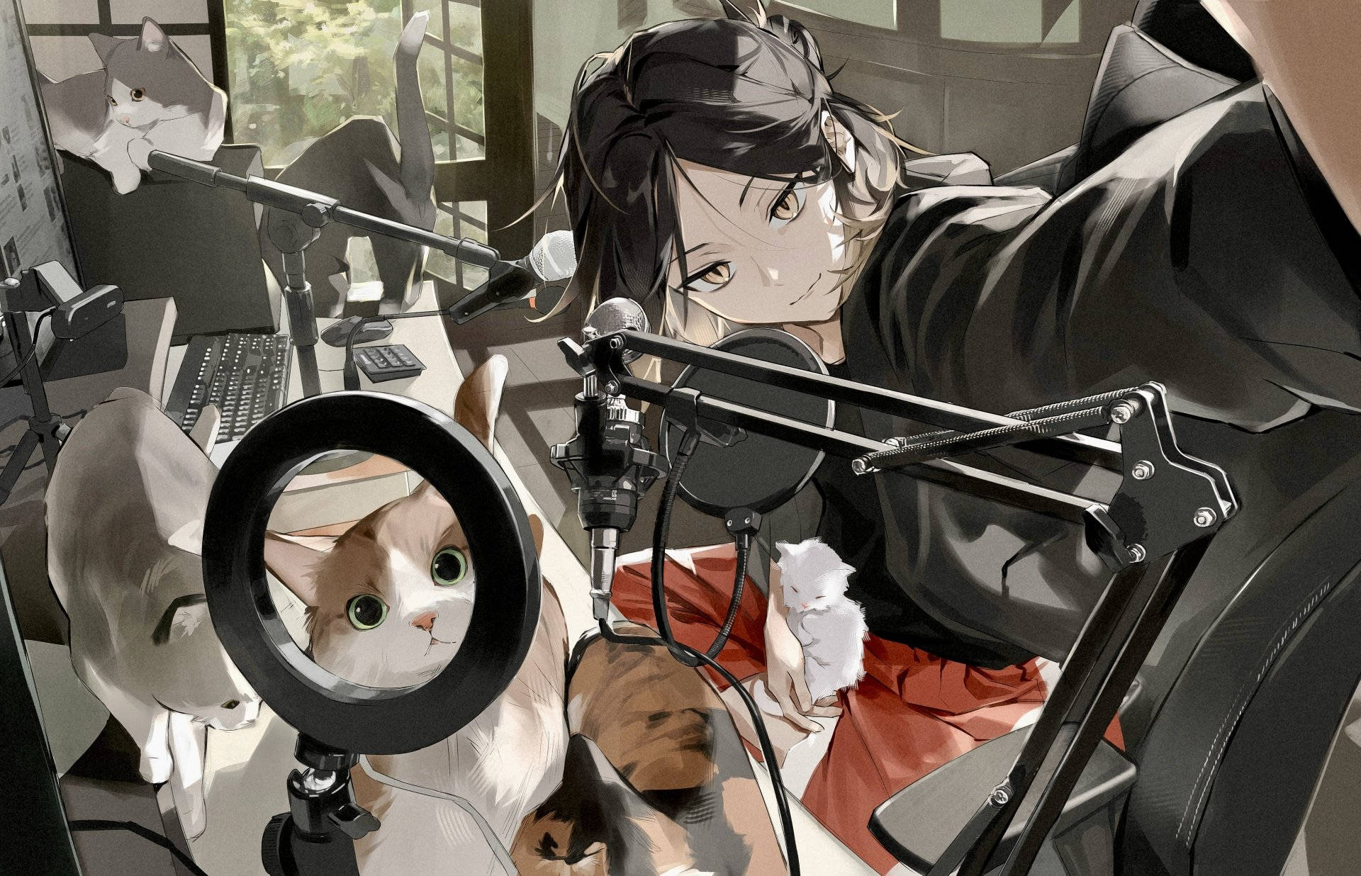 Kenma med katte på sit skrivebord Wallpapers