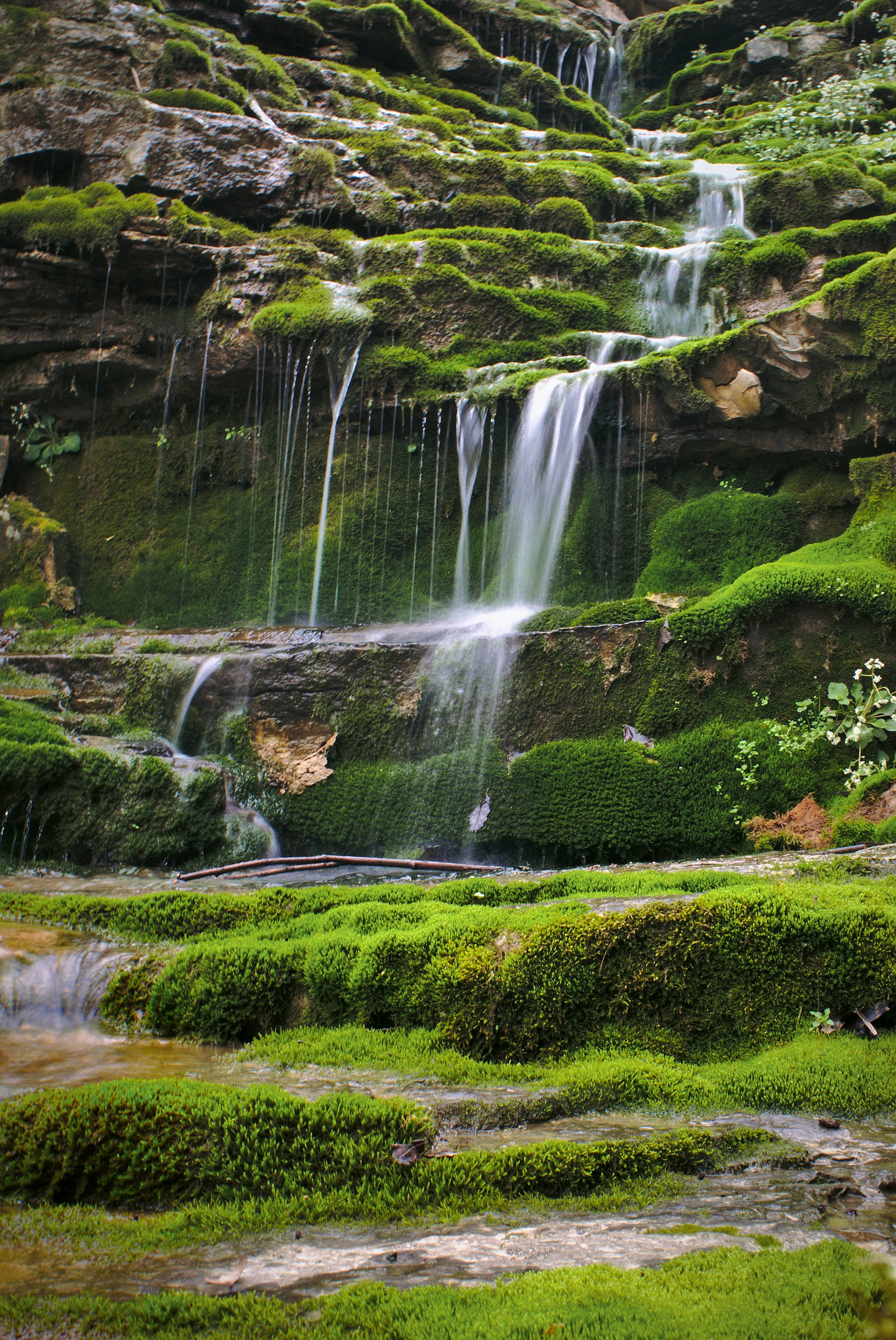 Kentucky Naturlandskab Wallpapers