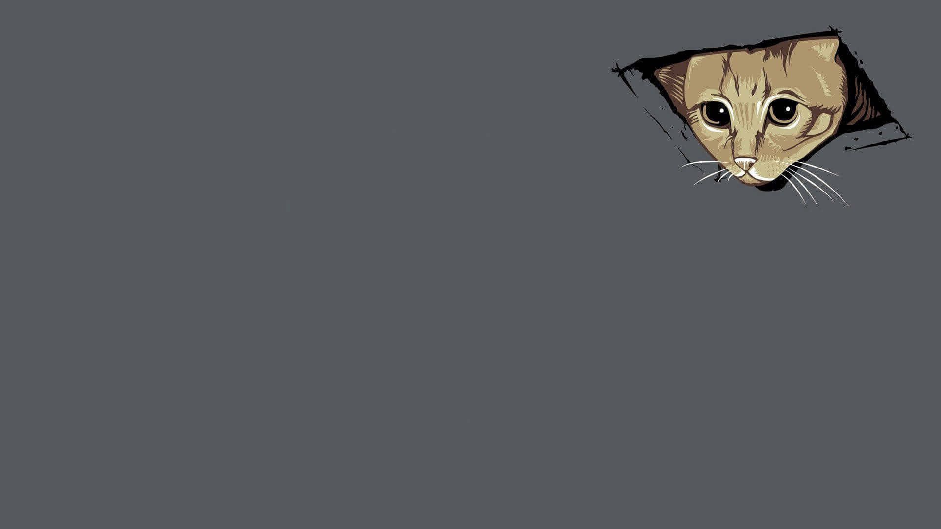 Kigende kat meme bærbar Wallpapers
