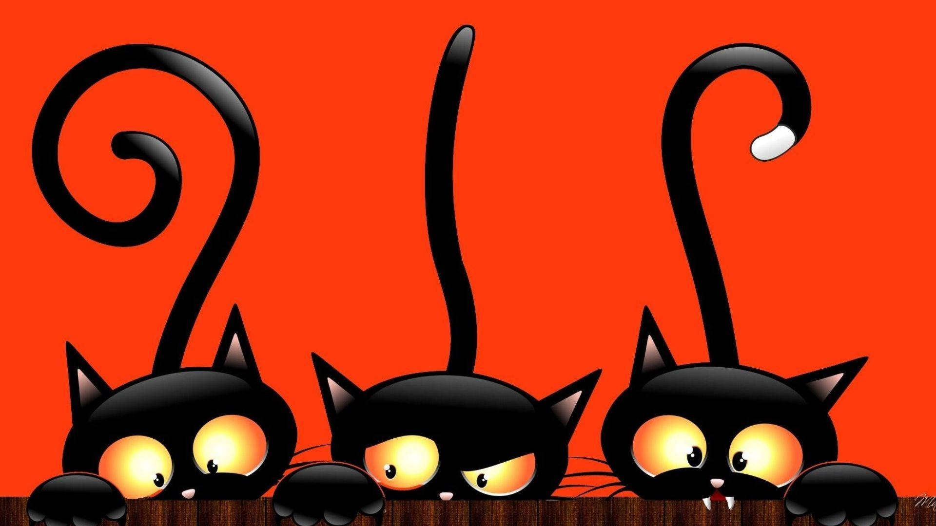 Kiggende tegneserie-Halloween-katte Wallpapers