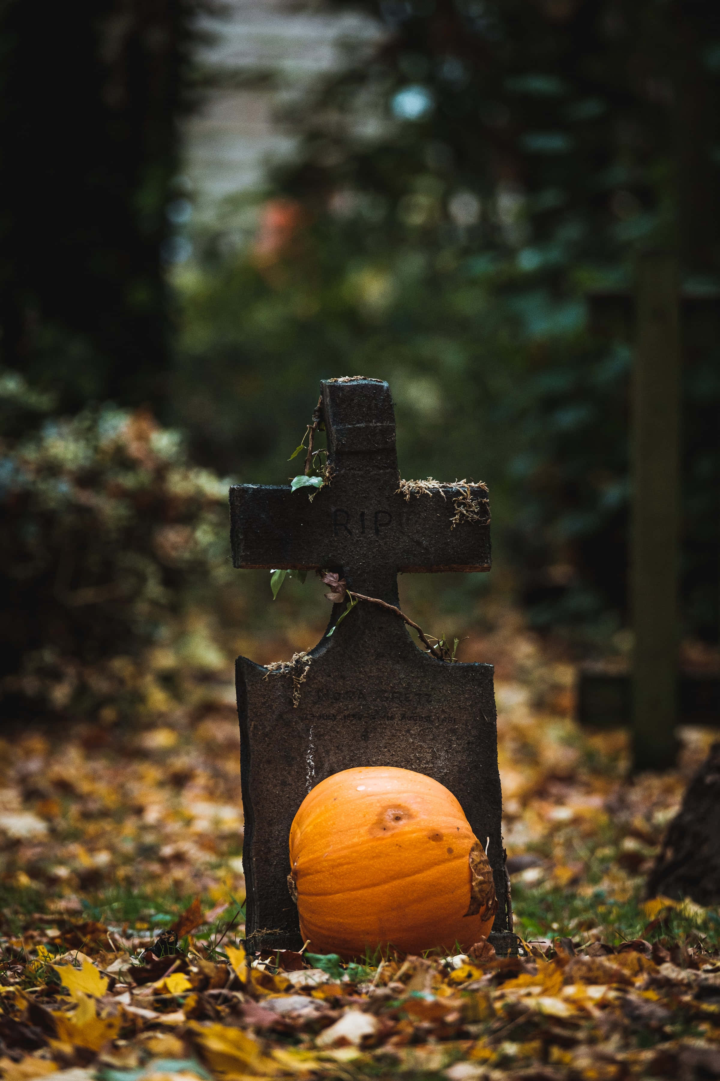 Kirkegård Halloween Baggrund i Høj Opløsning Wallpapers