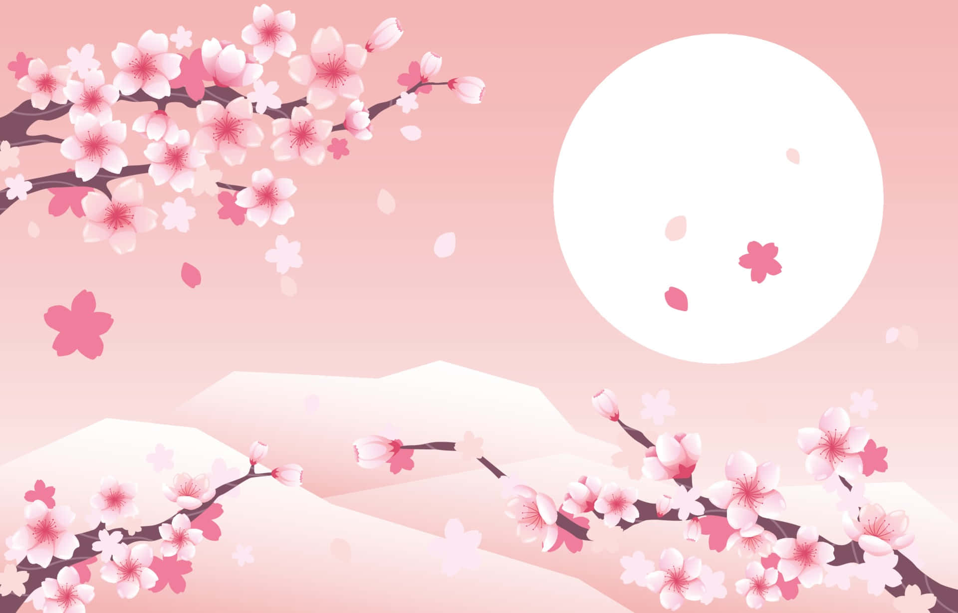 Kirsebærblomst Baggrund Wallpapers