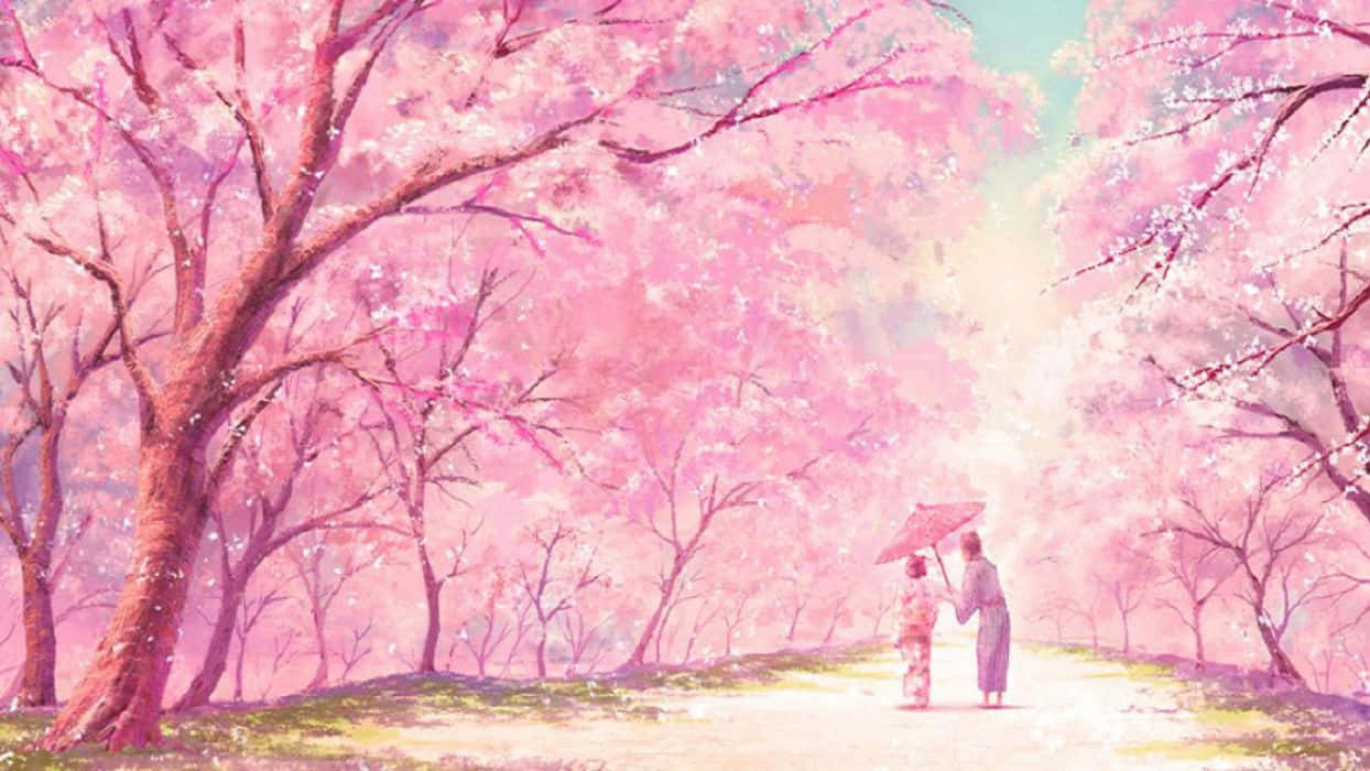 Kirsebærblomster Anime Scenery Mor Datter Vej Wallpapers