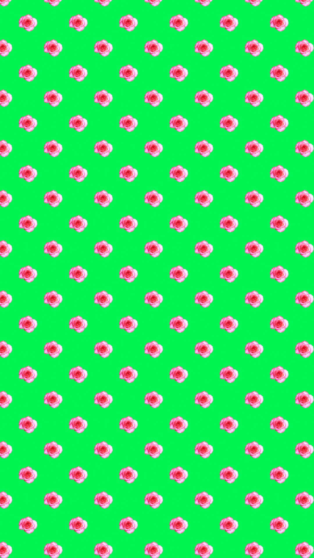 Kirsebærblomster Æstetisk VSCO Mønster Baggrund Wallpapers