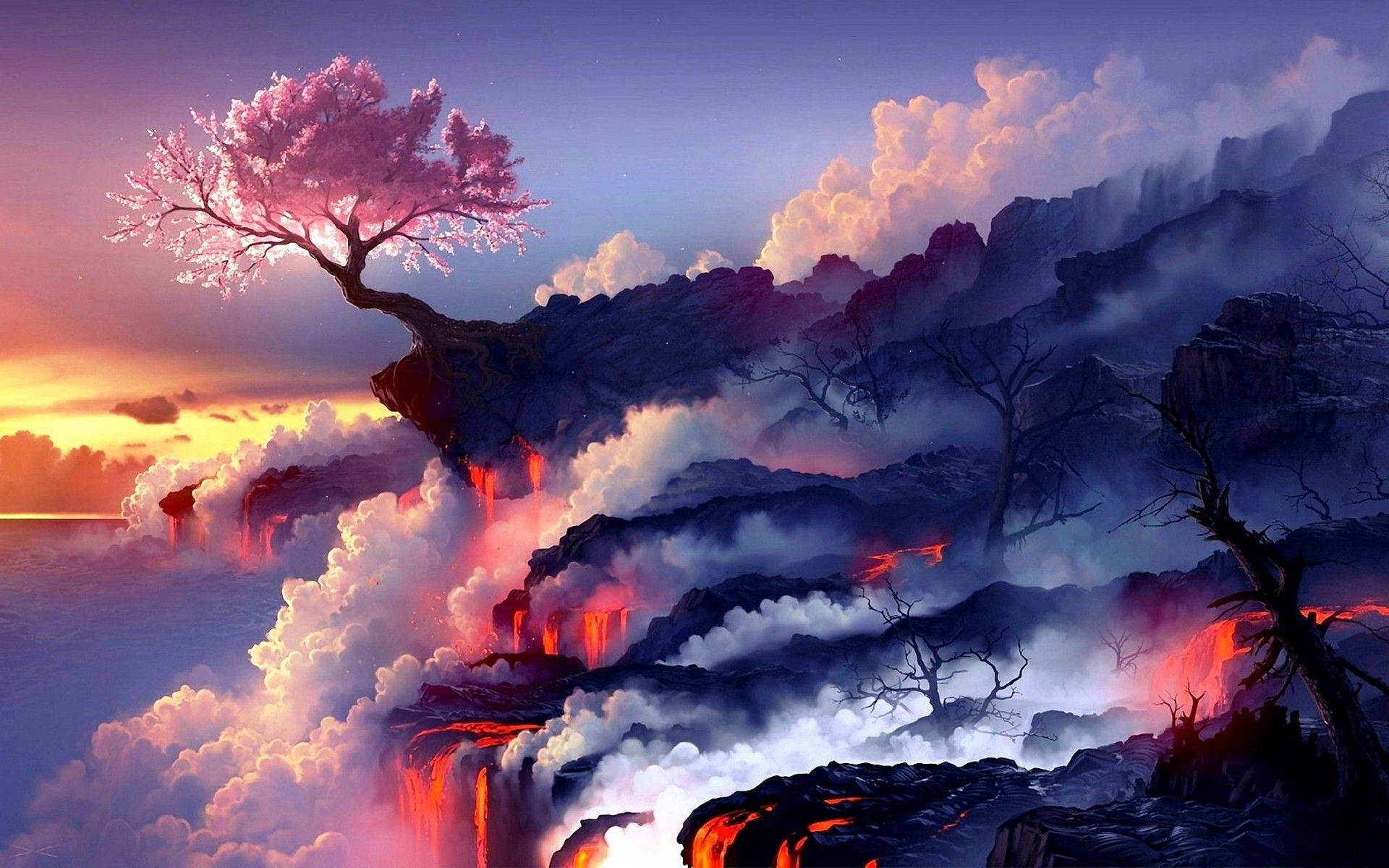 Kirsebærblomst animekunst Wallpapers