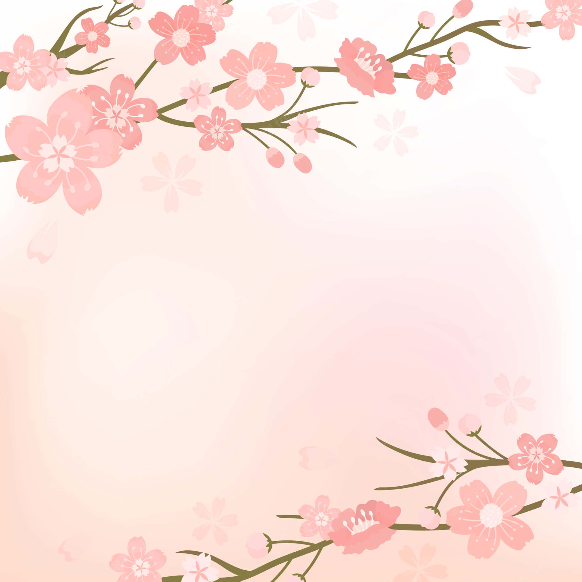 Kirsebærblomst Baggrund Wallpapers