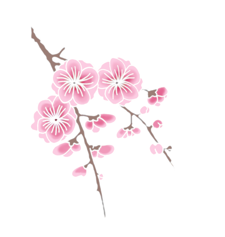 Kirsebærblomstrende gren Wallpapers