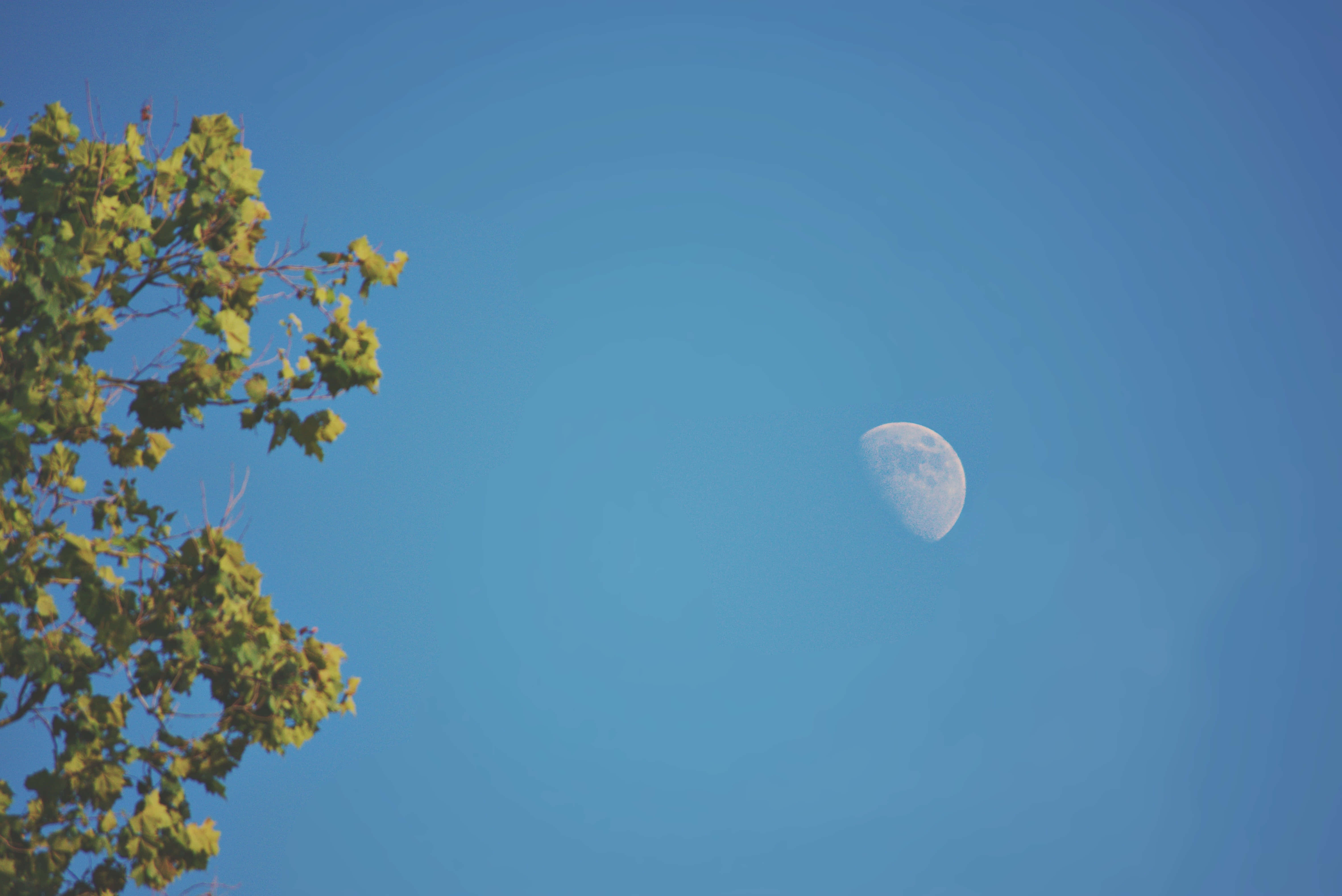 Klar blå himmel månebillede Wallpapers