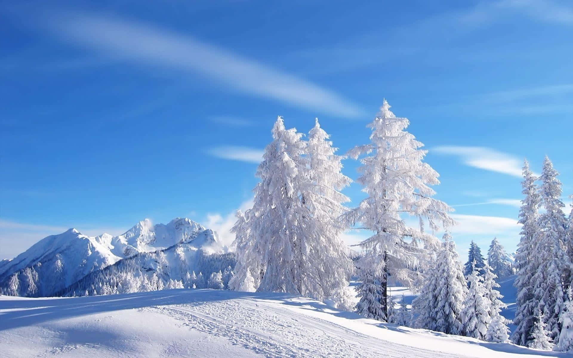 Klar himmel i vinterlandskab baggrund Wallpapers