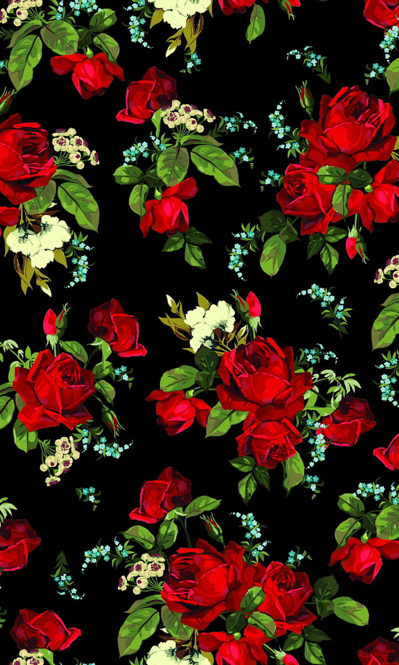 Klare røde roser perfekt til enhver lejlighed Wallpapers