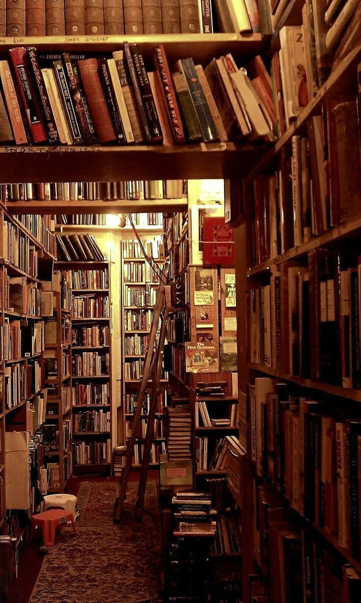 Klassisk Stil Biblioteksbillede Wallpapers