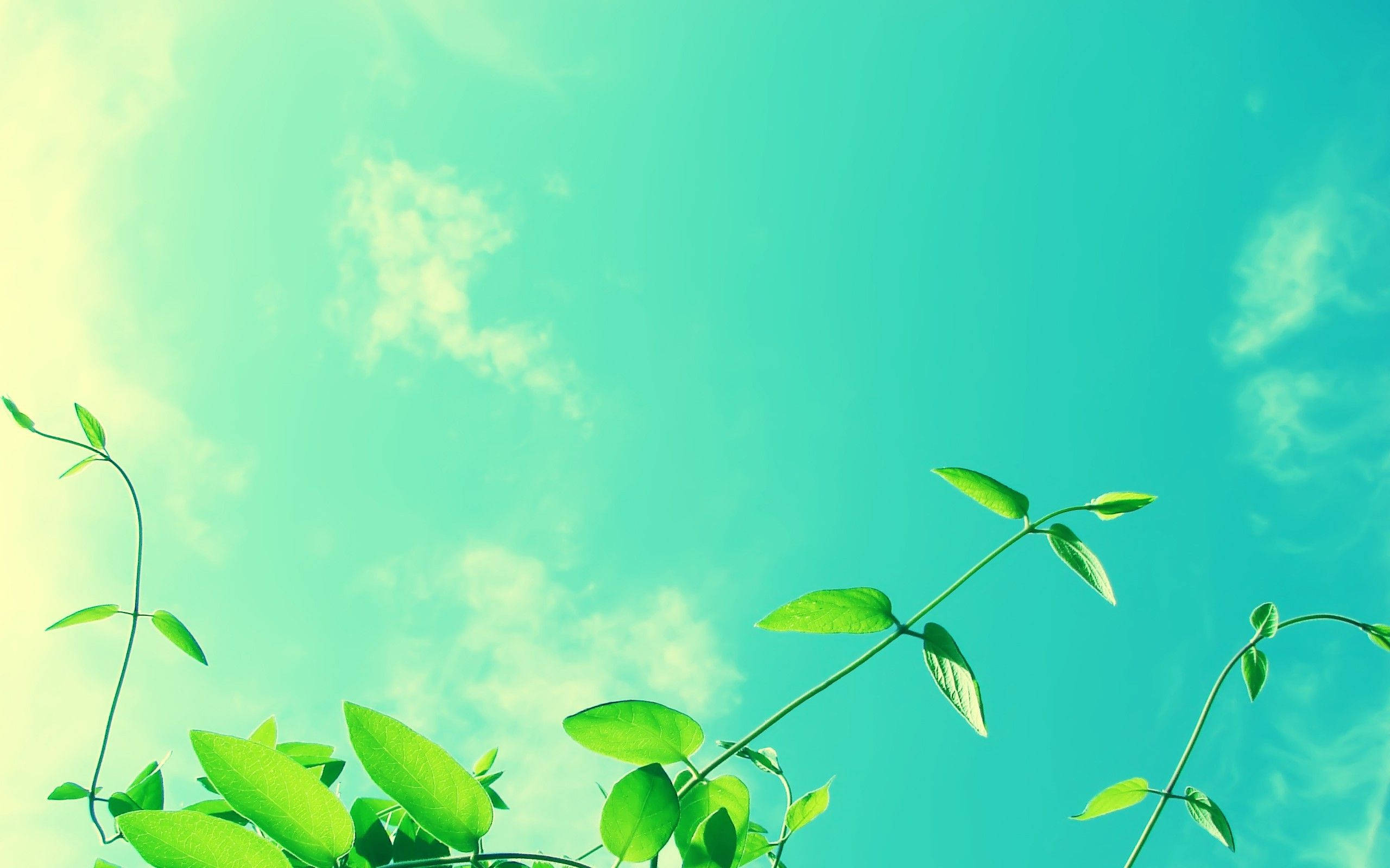 Kølig blågrøn himmel Wallpapers