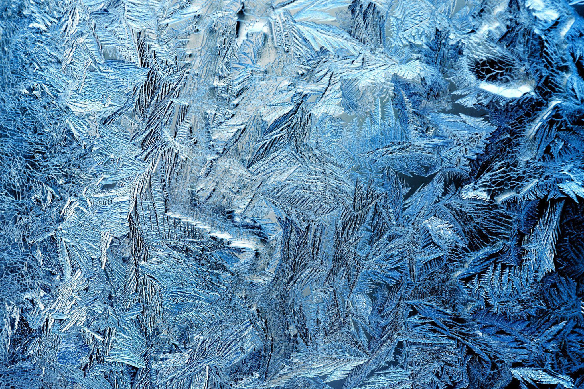 Køligt frostmønster Wallpapers
