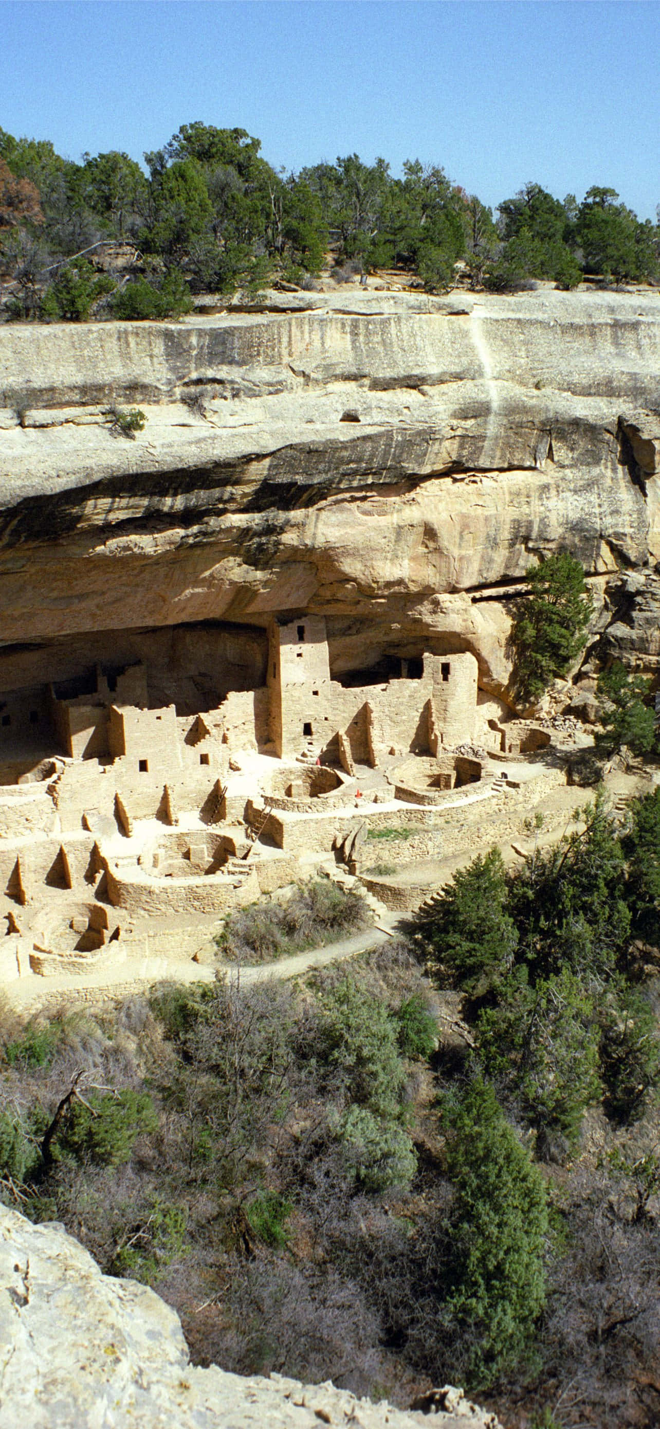 Klippepalads Tan Farve Mesa Verde Nationalpark Wallpapers