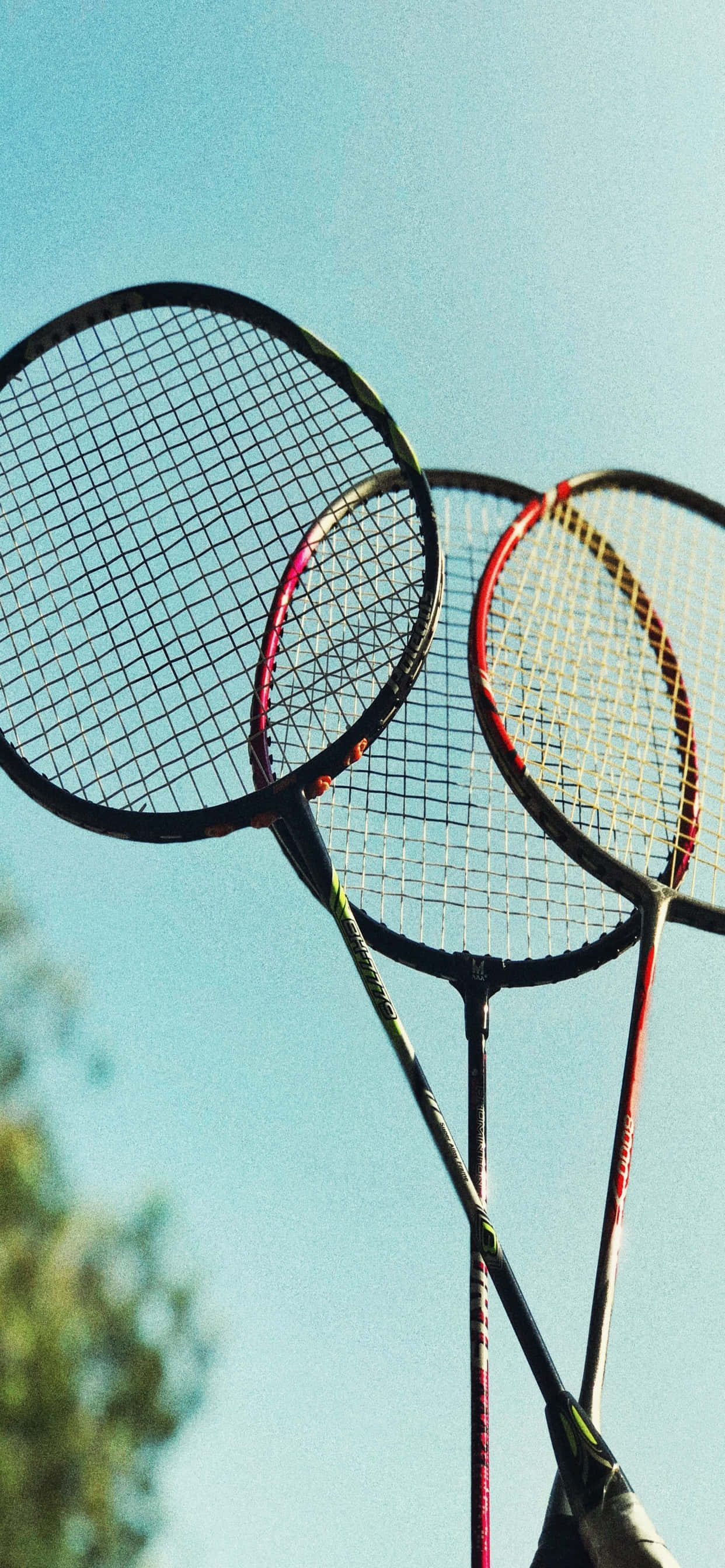 Knus spillet med en iPhone XS Max Wallpapers