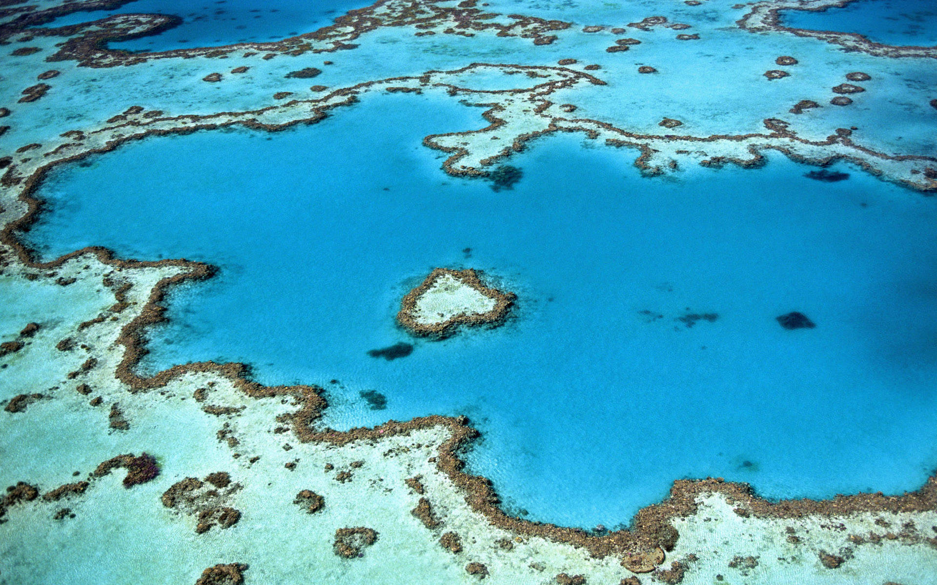 Køligt blåt koralrev Australien Wallpapers