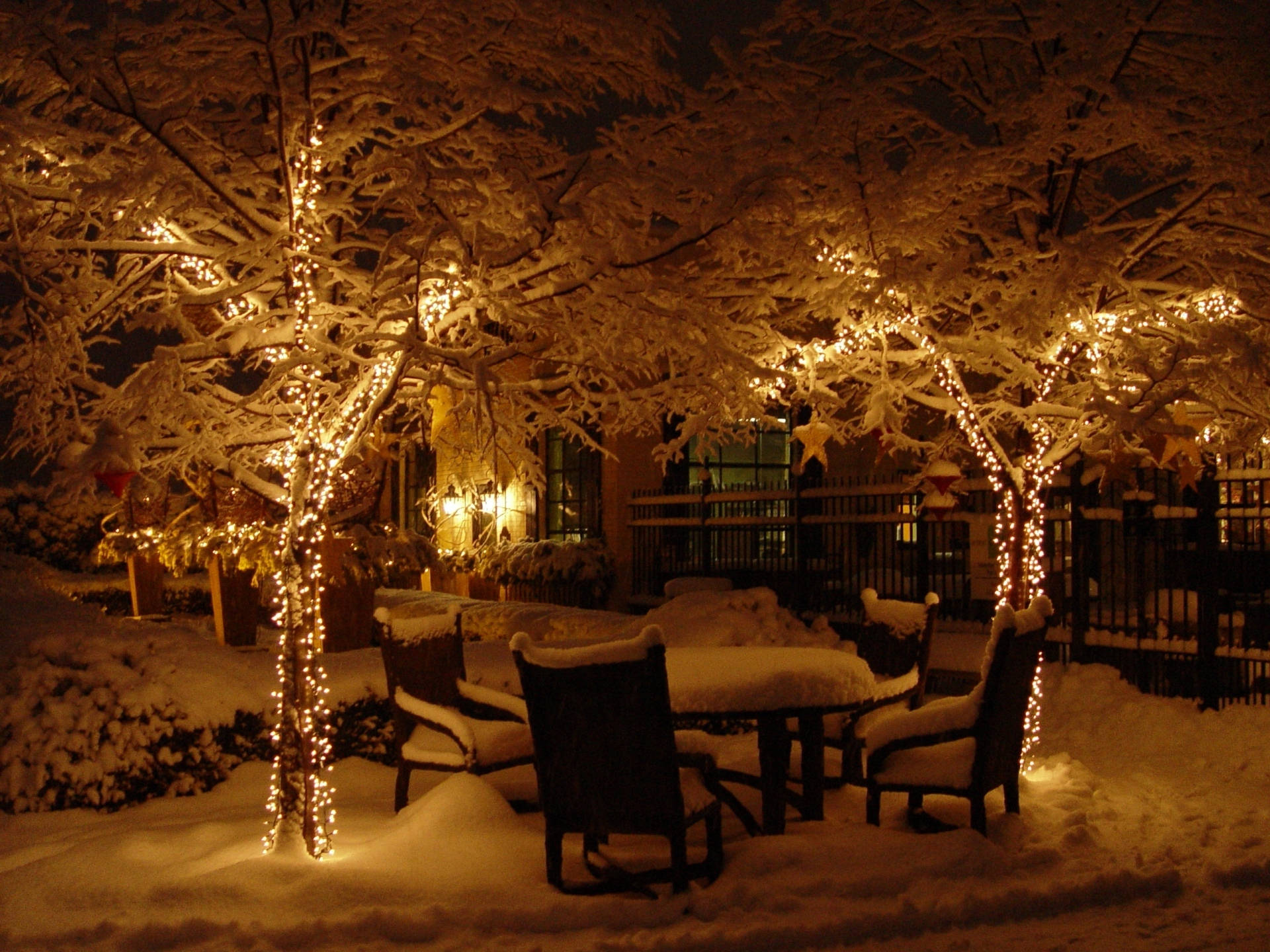Kold baghave julelys Wallpapers