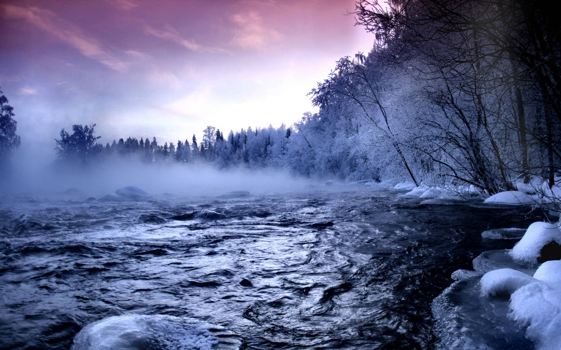 Kold tåge frossent landskab Wallpapers
