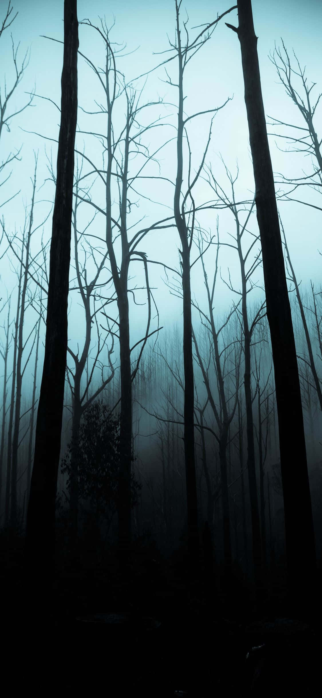 Kom i den uhyggelige stemning med denne brugerdefinerede iPhone-baggrund Wallpapers