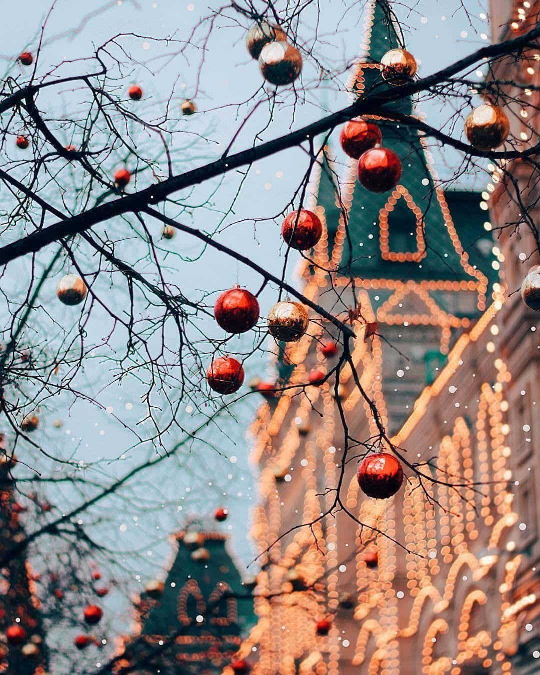 Kom i feststemning med smukke vinterdekorationer i juletiden! Wallpapers